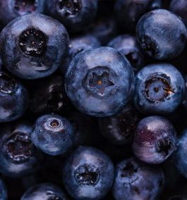 Blueberries